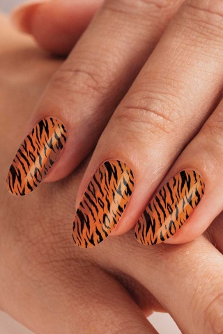 Renkli Zebra Tırnak Dövmesi,Tırnak Tattoo,Nail Art ,Tırnak Sticker