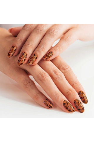 Renkli Zebra Tırnak Dövmesi,Tırnak Tattoo,Nail Art ,Tırnak Sticker